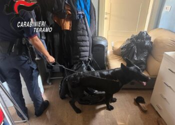 Giulianova, spaccio di cocaina in casa: arrestati due parenti dai Carabinieri