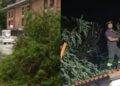Bomba d’acqua su Avezzano, la città piegata dal maltempo: alberi caduti e strade in tilt (foto)
