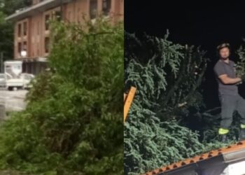 Bomba d’acqua su Avezzano, la città piegata dal maltempo: alberi caduti e strade in tilt (foto)
