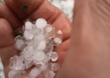 Grandine sull’Aquilano, Coldiretti: primi sopralluoghi, oltre cento ettari di colture danneggiati