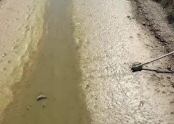Il Fucino muore di sete: canali a secco, caldo record e moria di pesci