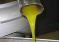 Stop alla miscelazione tra olio extravergine e vergine, Coldiretti Abruzzo: “vittoria storica per gli olivicoltori”