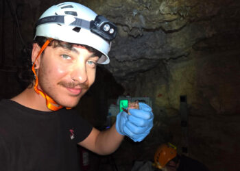 A Bosco Plaja una serata alla scoperta dei pipistrelli: passeggiata notturna tra scienza e natura