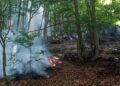 Incendio a Bisegna, volontari della Protezione Civile Valle del Giovenco impegnati nelle operazioni di spegnimento
