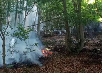 Incendio a Bisegna, volontari della Protezione Civile Valle del Giovenco impegnati nelle operazioni di spegnimento