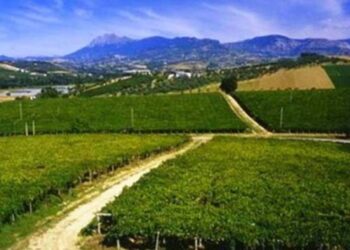Consorzi Bonifica, Coldiretti ribadisce: “non servono contrapposizioni ma una vera strategia per il futuro dell’acqua”