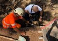Lavori in via Nievo, strada riqualificata senza compromettere salute e stabilità degli alberi