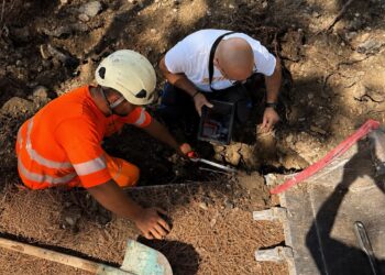 Lavori in via Nievo, strada riqualificata senza compromettere salute e stabilità degli alberi