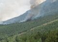 Emergenza incendi in Abruzzo, Berardinetti (Uncem): un tavolo permanente per salvare i boschi