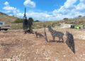 Dove il bosco prende forma: la nuova scultura sul Cammino dei Briganti