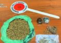 Maxi piantagione di canapa scoperta nel Pescarese: arrestato 44enne, sequestrate 1000 piante