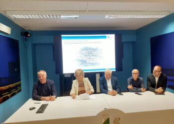 Pronto soccorso ampliato, chirurgia robotica e più posti letto: il progetto da 60 milioni per l’ospedale dell’Aquila