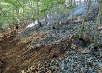 Incendi nell’Aquilano, preoccupa il fronte vicino alle aree boscate
