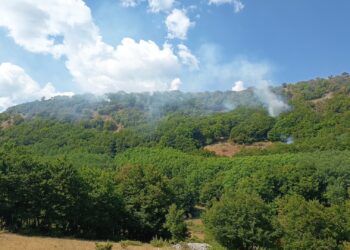 Fiamme sulla montagna a Bisegna, continua la lotta contro l’incendio