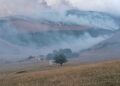 Abruzzo nella morsa degli incendi, 13 roghi: fronte ancora attivo a Collarmele