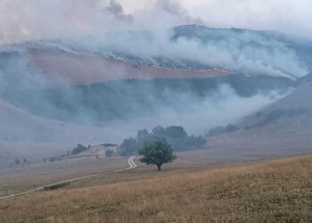 Abruzzo nella morsa degli incendi, 13 roghi: fronte ancora attivo a Collarmele