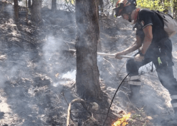 Incendio a Bisegna, Canadair ed elicottero in azione: spento il fronte sopra la chiesa, ora preoccupa la pineta verso “La Croce”