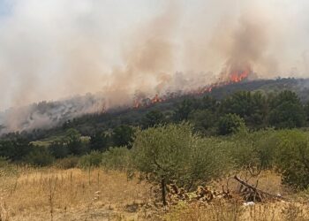 Incendi nel chietino e nel pescarese, CIA: “Vicini agli agricoltori colpiti”