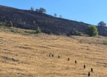 Incendi in Abruzzo, la pioggia frena le fiamme ma l’emergenza non è finita
