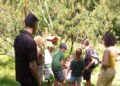 A Pescasseroli il nuovo percorso interattivo dell’arboreto: natura, arte e scoperta per grandi e piccoli
