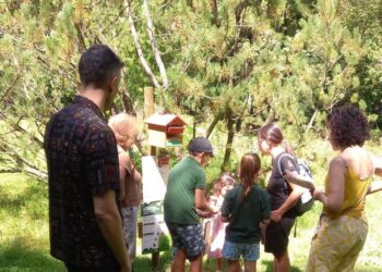 A Pescasseroli il nuovo percorso interattivo dell’arboreto: natura, arte e scoperta per grandi e piccoli