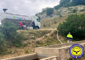 Vasche vuote all’alpeggio, la Protezione civile salva gli animali al pascolo