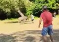 Il selfie con “Bambi” finisce male: il cervo carica i turisti a Scanno