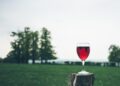 Guida Untold 2027: il vino abruzzese premiato per qualità, identità ed enoturismo