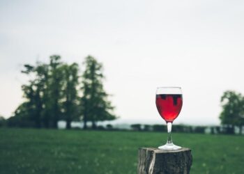 Guida Untold 2027: il vino abruzzese premiato per qualità, identità ed enoturismo