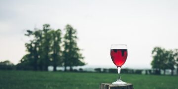 Guida Untold 2027: il vino abruzzese premiato per qualità, identità ed enoturismo