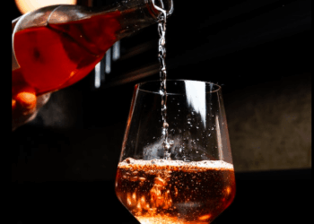 Abruzzo, primi giorni di vendemmia dei rossi, Coldiretti, il Cerasuolo è il vino rosso del futuro