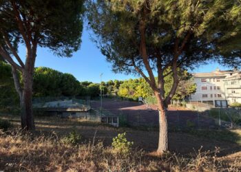 Roseto, 107mila euro per lo sport: nuovo look per il centro sportivo di Campo a Mare