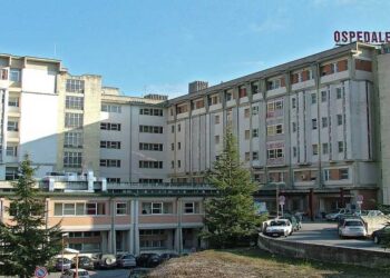 Un filo di luce per la 45enne di Trasacco: sarebbe stata svegliata dal coma farmacologico