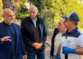 Cocciniglia, parte la seconda fase di trattamento dei pini domestici a Pescara