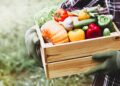 “Il tuo futuro nell’Agritech parte da qui”: l’ITS Academy Agroalimentare presente a Marsicaland