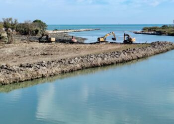 Foce del Saline, passo indietro sui lavori: richiesto d’urgenza il recupero del canneto distrutto
