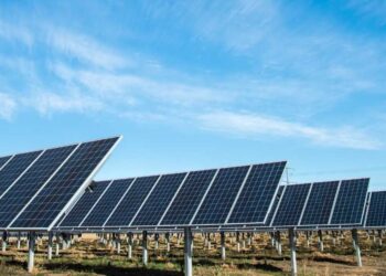 Fotovoltaico, Confagricoltura: “ora la Regione prevenga i vizi sulle eventuali domande di autorizzazione in sospeso”