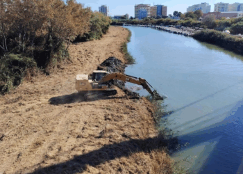 Lavori alla foce del Saline, richiesto lo stop dei lavori: «Distrutto un canneto protetto»