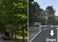 Parco Polsinelli, Conalpa:  «Ricucire il parco e riorganizzare la viabilità è  ancora possibile» 