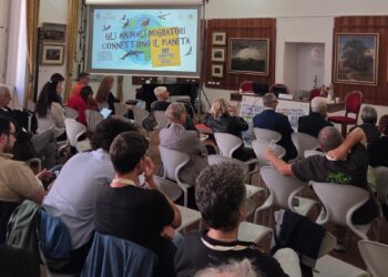 Crisi climatica e animali migratori, a Vasto il congresso internazionale per salvaguardare le rotte