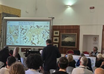 Ultimo giorno per il convegno Cms a Vasto: «entro un anno l’Atlante Mondiale delle Migrazioni»