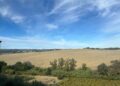 Impianto agrivoltaico a Casalincontrada, è scontro: «A rischio paesaggio e agricoltura». Sospeso il progetto