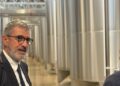 Suppletive Camera, l’affondo di D’Amico: “Imprese e lavoratori non possono più pagare il prezzo dell’immobilismo”