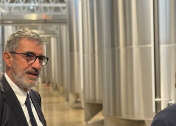 Suppletive Camera, l’affondo di D’Amico: “Imprese e lavoratori non possono più pagare il prezzo dell’immobilismo”