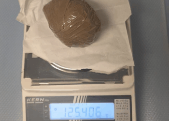 Va a caccia di tartufi con il cane e scova 270 grammi di cocaina: sequestro da 25mila euro