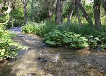 Uniti per salvare il fiume Giovenco: nasce il comitato dei cittadini per difendere la Valle