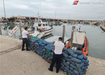 Martinsicuro, oltre 2,6 tonnellate di vongole non tracciate nel furgone: sanzionato l’autotrasportatore