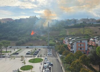 Giulianova, paura in collina per un incendio: fiamme domate con i mezzi aerei