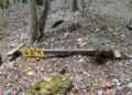 Vandali in azione alle Gole del Sagittario: distrutta la nuova segnaletica